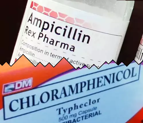 Ampisilliini vs Kloramfenikoli