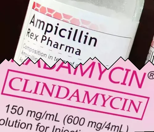 Ampisilliini vs Klindamysiini