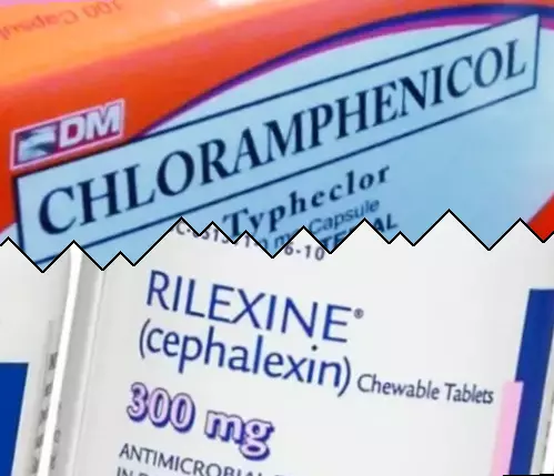 Kloramfenikoli vs Kefaleksiini